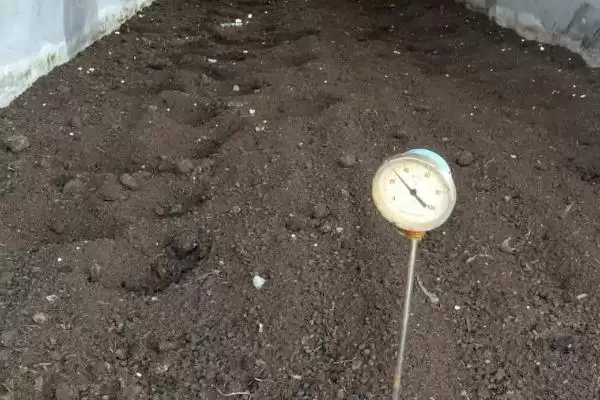 鸡粪腐熟方法先晾晒后再腐熟,鸡粪的自然腐熟方法，首要步骤是？插图3
