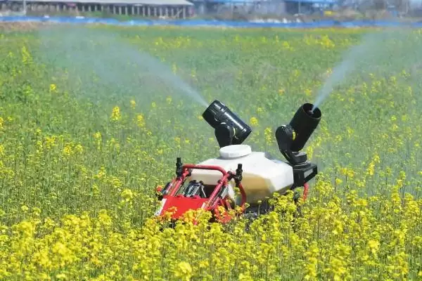 灰霉病防治法栽种前土壤消毒,灰霉病的防治方法,关键措施是?插图1 灰霉病防治法栽种前土壤消毒,灰霉病的防治方法,关键措施是?插图1