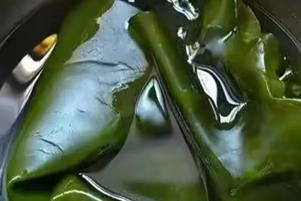 海带会起泡是何原因导致,海带起泡因多糖中蛋白质从破损截面溶出吗插图3 海带会起泡是何原因导致,海带起泡因多糖中蛋白质从破损截面溶出吗插图3