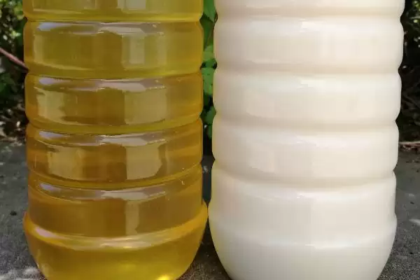 槐花蜜结晶色呈乳白细粒油脂状,槐花蜜结晶是什么颜色,颜色特征对吗?插图1 槐花蜜结晶色呈乳白细粒油脂状,槐花蜜结晶是什么颜色,颜色特征对吗?插图1
