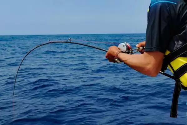 海钓用什么鱼饵比较合适呢,海钓可选择环虫、贝类等类型鱼饵吗插图4