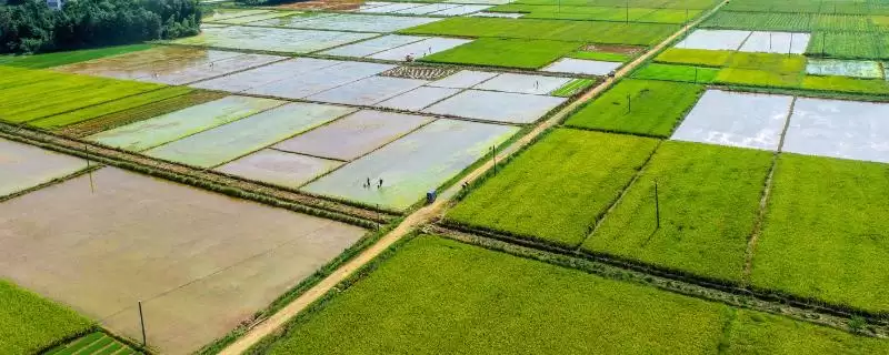 高标准农田建设目的 ,高标准农田建设的目的是什么插图 高标准农田建设目的 ,高标准农田建设的目的是什么插图