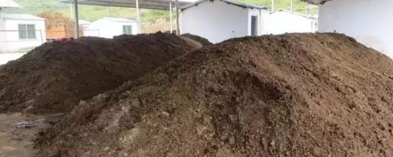 鸡粪腐熟方法先晾晒后再腐熟,鸡粪的自然腐熟方法，首要步骤是？-会东网