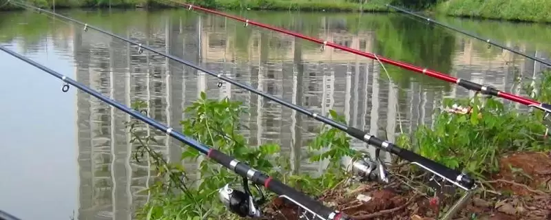 海竿怎么抛竿才更熟练呢,海竿抛竿只有多抛多练才能熟能生巧吗插图 海竿怎么抛竿才更熟练呢,海竿抛竿只有多抛多练才能熟能生巧吗插图