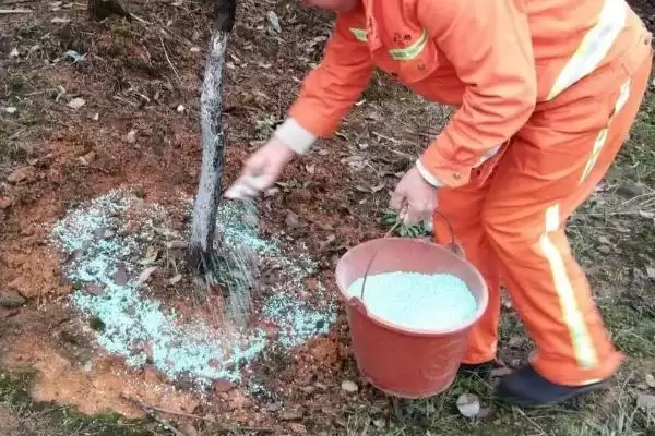 根外追肥优点好处介绍 ,根外追肥具有哪些优点和好处插图1 根外追肥优点好处介绍 ,根外追肥具有哪些优点和好处插图1