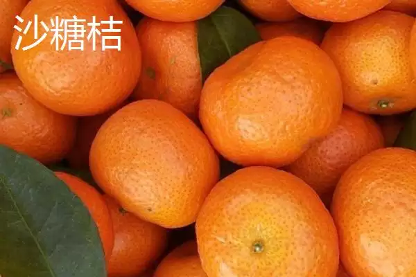 广东省四会市的特产是什么,四会玉器是广东省四会市闻名特产吗插图6 广东省四会市的特产是什么,四会玉器是广东省四会市闻名特产吗插图6