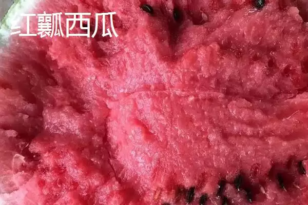 黄红瓤瓜区别口感价格不同,黄瓤西瓜和红瓤西瓜的区别,差异在哪?插图2 黄红瓤瓜区别口感价格不同,黄瓤西瓜和红瓤西瓜的区别,差异在哪?插图2