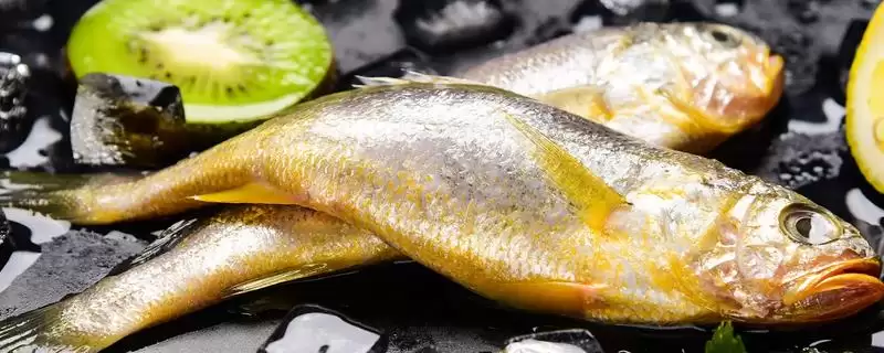 黄花鱼价格数15-25元一斤贵,黄花鱼的价格,这个价格区间合理吗?插图 黄花鱼价格数15-25元一斤贵,黄花鱼的价格,这个价格区间合理吗?插图