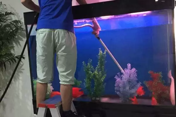 给鱼缸换水正确方法 ,给鱼缸换水的正确方法是怎样的插图1 给鱼缸换水正确方法 ,给鱼缸换水的正确方法是怎样的插图1