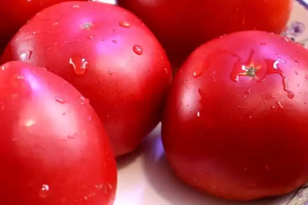番茄名称的由来,番茄为什么被叫做西红柿的名字插图2 番茄名称的由来,番茄为什么被叫做西红柿的名字插图2