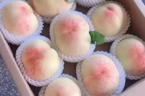 凤桥水蜜桃期6-8月上市对,凤桥水蜜桃的上市时间，是这个时间段吗？插图2