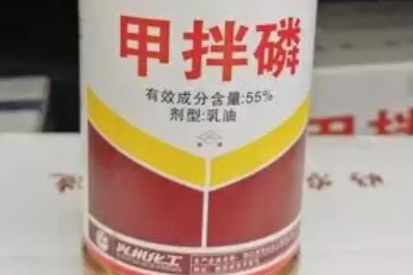 甲拌磷相关介高效广谱杀虫剂,甲拌磷相关介绍,介绍内容准确吗?插图2 甲拌磷相关介高效广谱杀虫剂,甲拌磷相关介绍,介绍内容准确吗?插图2