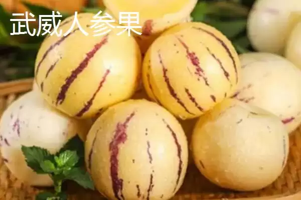 甘肃省武威市水果特产 ,甘肃省武威市有哪些特色的水果特插图4 甘肃省武威市水果特产 ,甘肃省武威市有哪些特色的水果特插图4