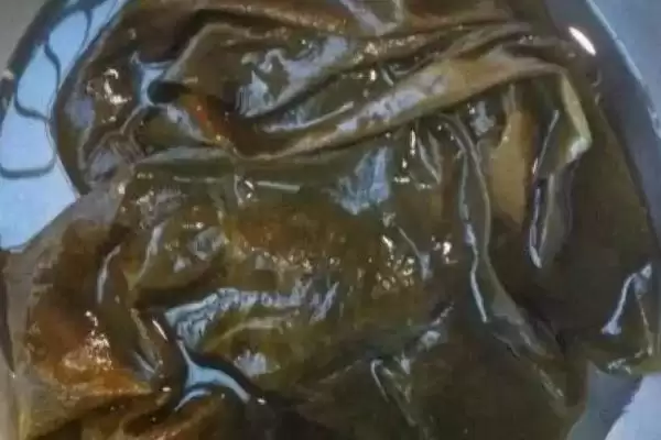海带会起泡是何原因导致,海带起泡因多糖中蛋白质从破损截面溶出吗插图1 海带会起泡是何原因导致,海带起泡因多糖中蛋白质从破损截面溶出吗插图1