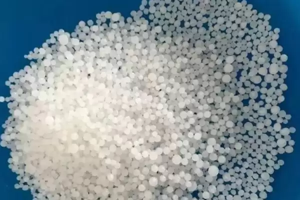 广东万年青有没有毒性呢,广东万年青植株颈部和叶片汁液有毒吗插图3 广东万年青有没有毒性呢,广东万年青植株颈部和叶片汁液有毒吗插图3