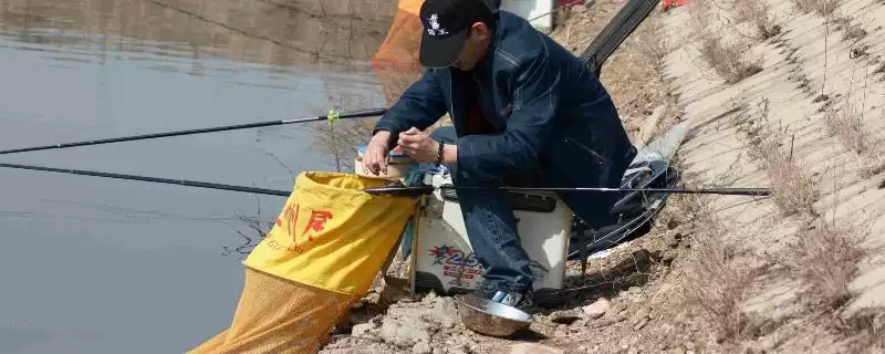 黑坑竞技钓鲤鱼用哪种鱼竿,黑坑竞技钓鲤鱼可选用本汀隼等竿型吗-会东网