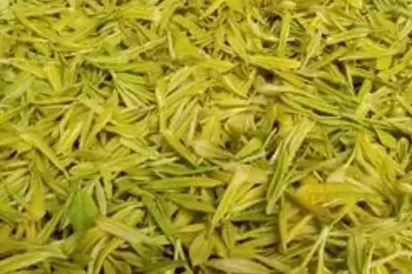 黄金茶价格问受产地等级影响,黄金茶的价格,受哪些因素决定呢?插图2 黄金茶价格问受产地等级影响,黄金茶的价格,受哪些因素决定呢?插图2
