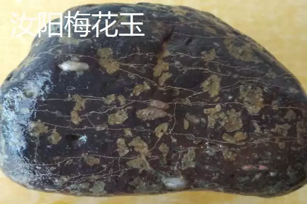 河南省汝阳县特产有啥介绍,河南省汝阳县是历史名酒杜康的发祥地吗插图6 河南省汝阳县特产有啥介绍,河南省汝阳县是历史名酒杜康的发祥地吗插图6