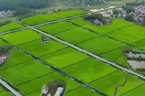 高标准农田建设目的 ,高标准农田建设的目的是什么插图1 高标准农田建设目的 ,高标准农田建设的目的是什么插图1