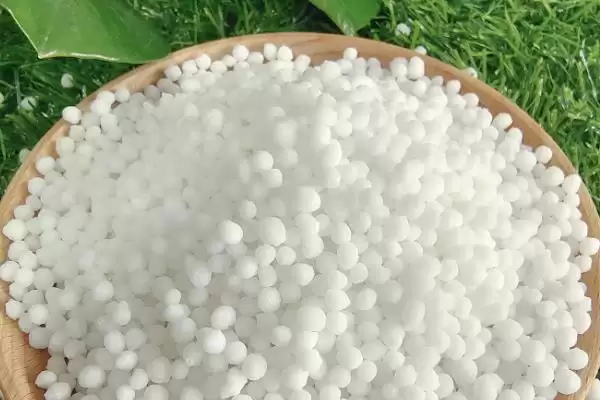 冬瓜苗的移栽时间条件,冬瓜苗长出几片真叶即可移栽时间插图6 冬瓜苗的移栽时间条件,冬瓜苗长出几片真叶即可移栽时间插图6
