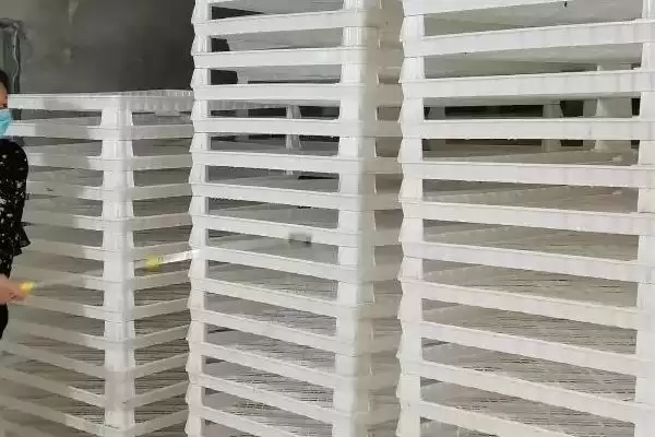 蚕的养殖方法和要点有哪些呢,蚕的养殖方法插图1