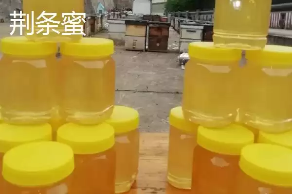 槐花蜜结晶色呈乳白细粒油脂状,槐花蜜结晶是什么颜色,颜色特征对吗?插图3 槐花蜜结晶色呈乳白细粒油脂状,槐花蜜结晶是什么颜色,颜色特征对吗?插图3