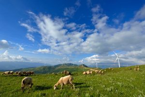 会东:一座天府旅游县城的魅力与活力插图1 会东:一座天府旅游县城的魅力与活力插图1