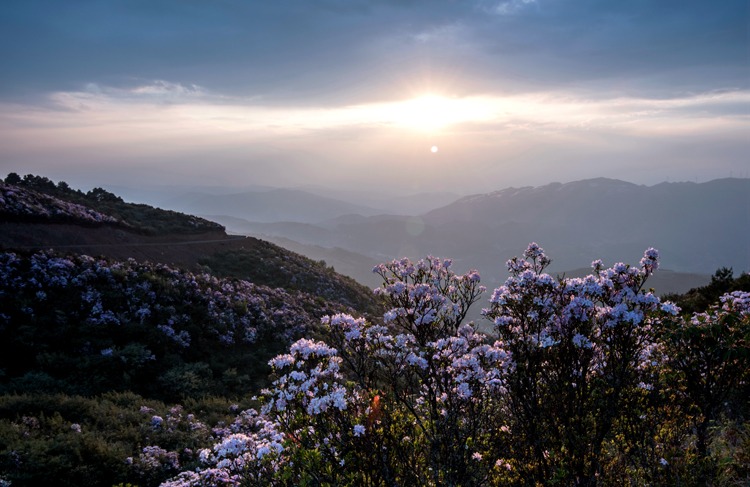 川滇明珠会东:脱贫奔康、城乡统筹插图2 川滇明珠会东:脱贫奔康、城乡统筹插图2