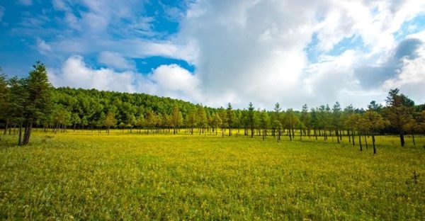 会东县旅游景点有哪些?会东县景点介绍?插图1 会东县旅游景点有哪些?会东县景点介绍?插图1