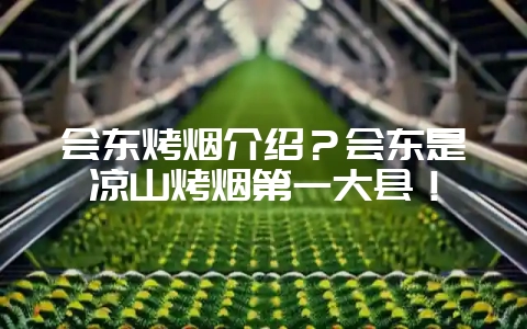 会东烤烟介绍?会东是凉山烤烟第一大县!-会东网