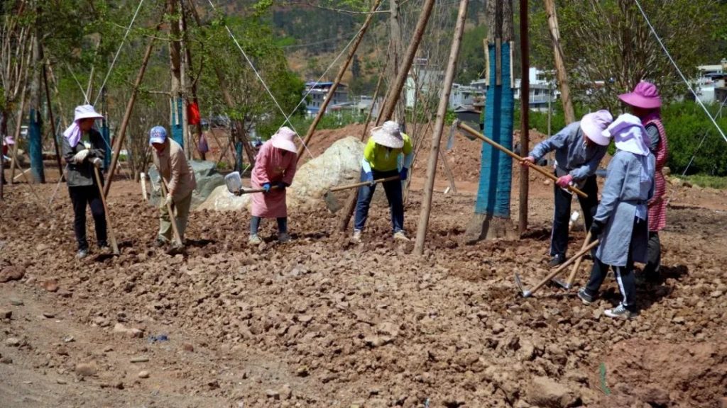 川滇明珠会东的介绍?川滇明珠会东?插图5 川滇明珠会东的介绍?川滇明珠会东?插图5