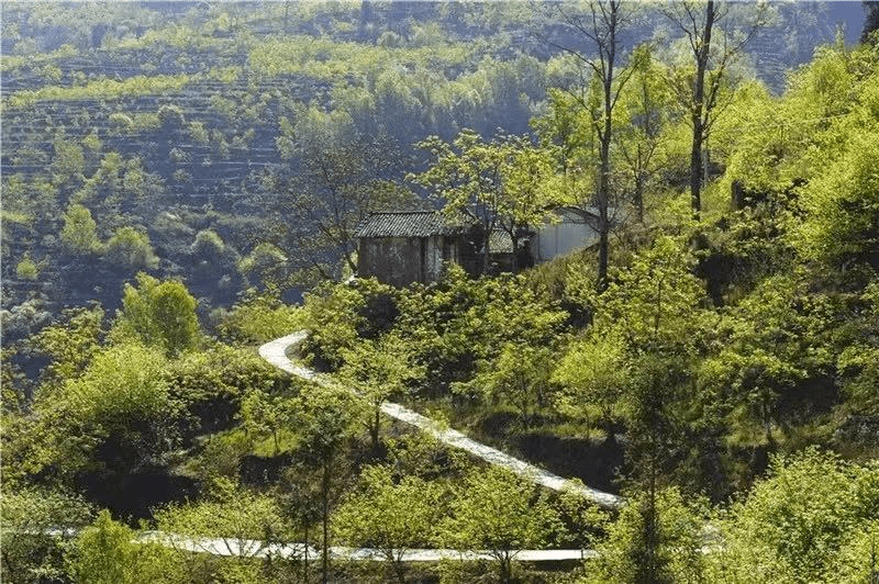 川颠明珠,舌尖上的美食美味插图3 川颠明珠,舌尖上的美食美味插图3