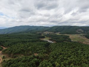 会东县新街乡旅游攻略:探秘川南最美乡村风光插图2 会东县新街乡旅游攻略:探秘川南最美乡村风光插图2