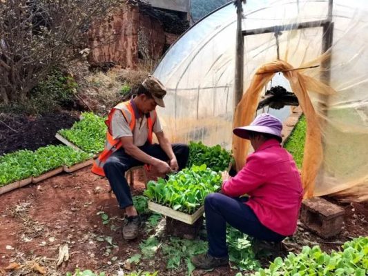 会东县青山村:人勤春来早 农时备耕忙插图1 会东县青山村:人勤春来早 农时备耕忙插图1