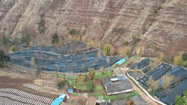 会东养蛙人:返乡农民工王世录插图 会东养蛙人:返乡农民工王世录插图