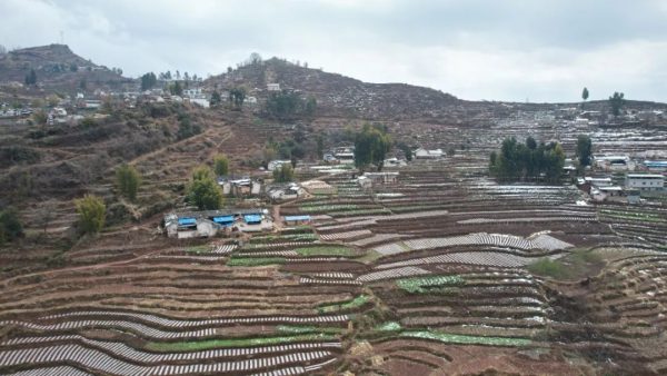 会东养蛙人:返乡农民工王世录插图1 会东养蛙人:返乡农民工王世录插图1