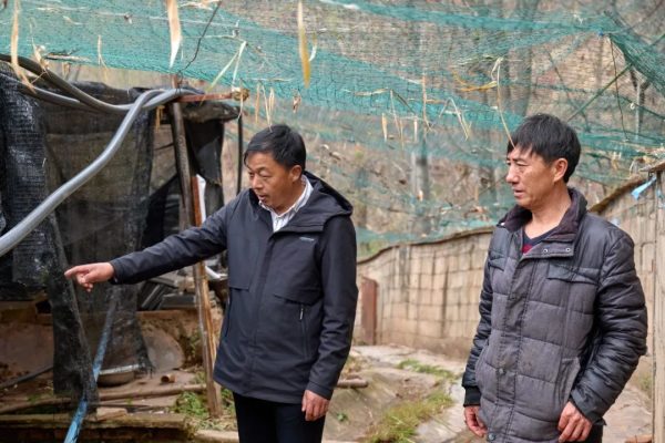 会东养蛙人:返乡农民工王世录插图3 会东养蛙人:返乡农民工王世录插图3