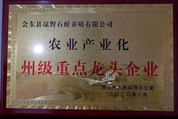 会东养蛙人:返乡农民工王世录插图7 会东养蛙人:返乡农民工王世录插图7