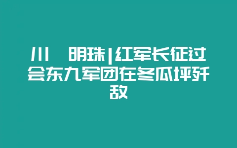 川滇明珠|红军长征过会东九军团在冬瓜坪歼敌插图 川滇明珠|红军长征过会东九军团在冬瓜坪歼敌插图