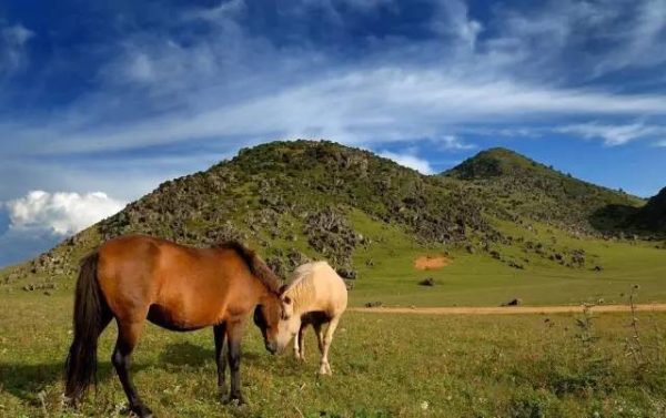 川滇明珠五年就不是你认识插图8 川滇明珠五年就不是你认识插图8