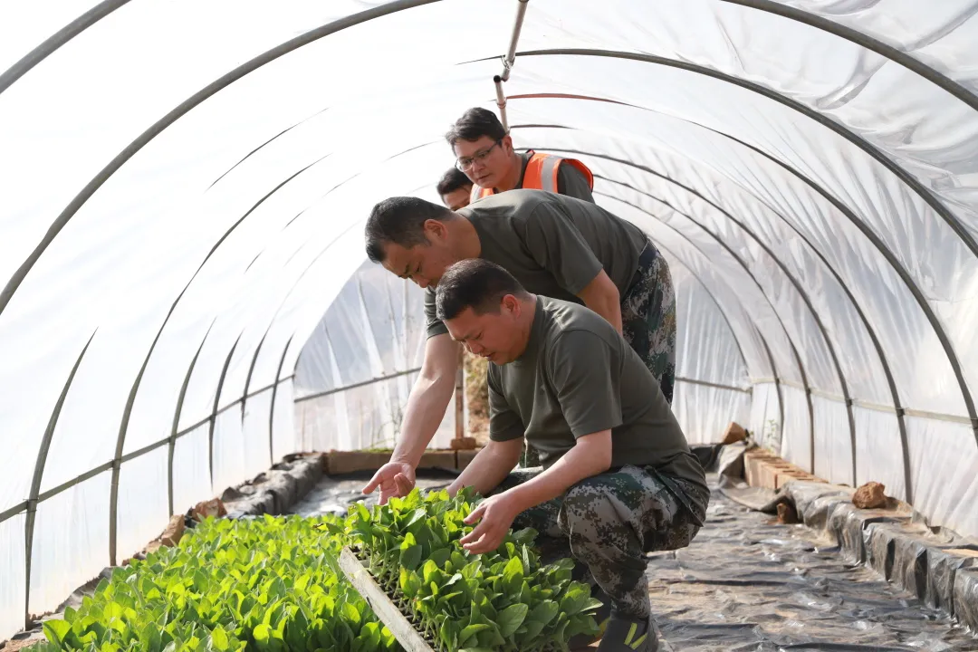 会东县县长高峰调研督导森林草原防火插图6 会东县县长高峰调研督导森林草原防火插图6