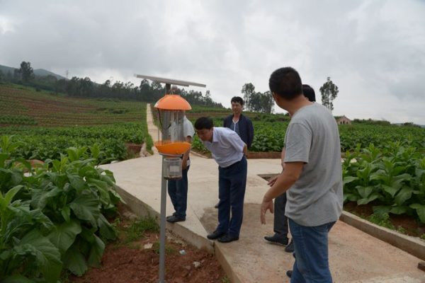 川滇明珠会东网:环江红在姜州小坝调研插图1 川滇明珠会东网:环江红在姜州小坝调研插图1