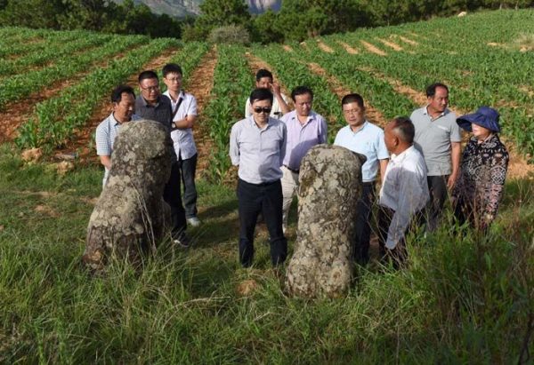 川滇明珠会东网新闻资讯：刘晓博下乡调研插图1