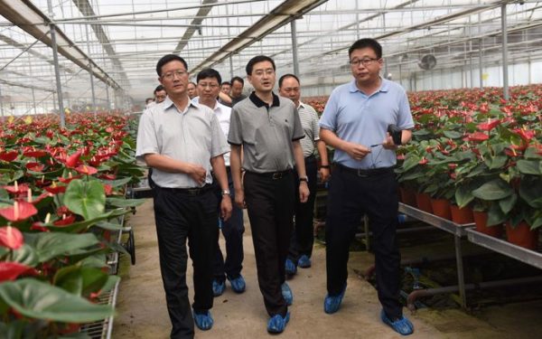 会东网:我县考察团赴西昌、石棉、简阳等县市学习考察插图4 会东网:我县考察团赴西昌、石棉、简阳等县市学习考察插图4