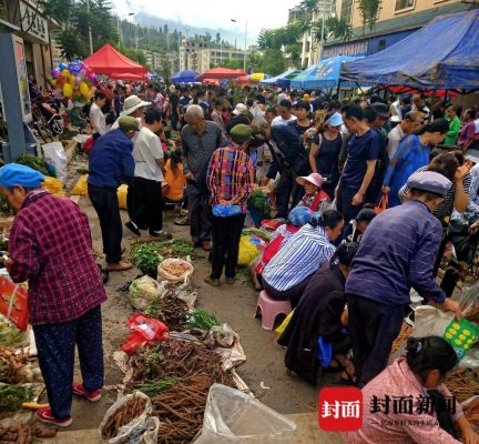 川滇明珠|四川会东的特色传承传统的榜样-会东网