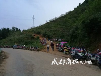 一盘卖到120月赚数千元凉山会东男女老少上山抓“唐僧肉”插图6 一盘卖到120月赚数千元凉山会东男女老少上山抓“唐僧肉”插图6