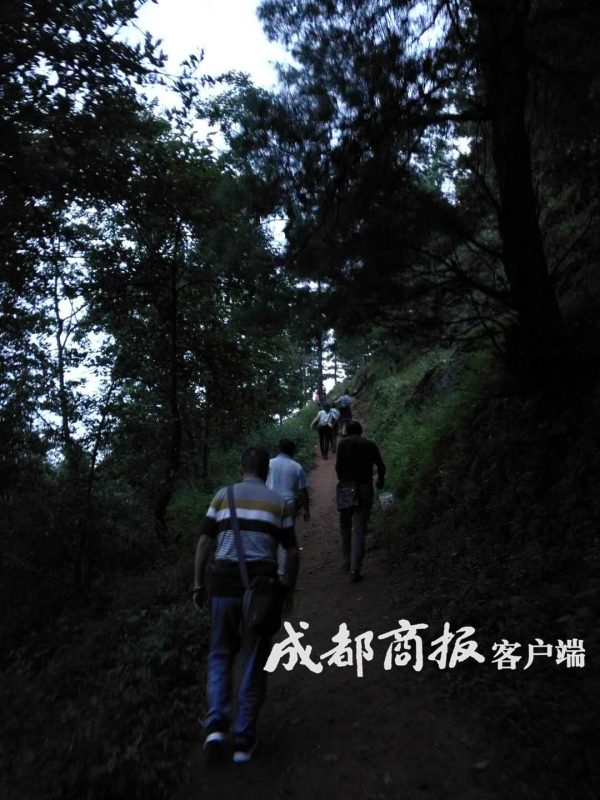 一盘卖到120月赚数千元凉山会东男女老少上山抓“唐僧肉”插图5 一盘卖到120月赚数千元凉山会东男女老少上山抓“唐僧肉”插图5
