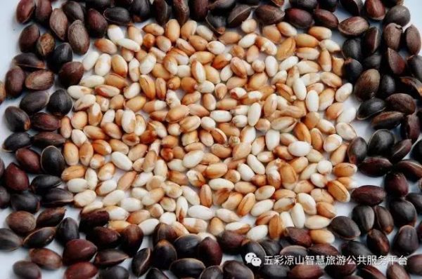 会东必吃美食你都品尝过了吗？插图13