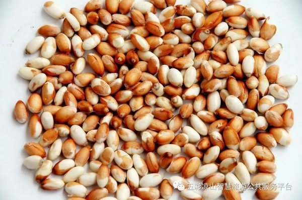 会东必吃美食你都品尝过了吗？插图14