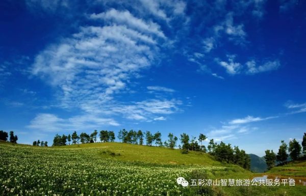 会东必吃美食你都品尝过了吗？插图11